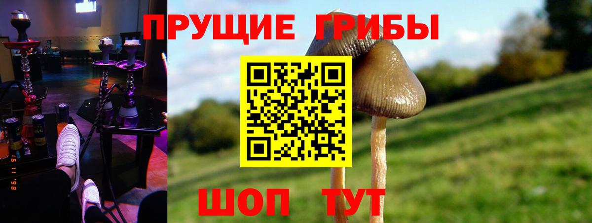 Коломна  Псилоцибиновые грибы прущие грибы  наркота  Вход с VPN 